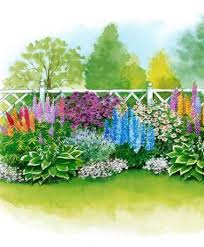 30 Langbluhende Rabattenpflanzen In 7 Verschiedenen Sorten Pflanzen Bakker Hil Bakker Hil Langbluhende Pf Bedding Plants Flower Bed Plants Plants