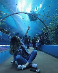 Where Should You Explore Next In Georgia Official Georgia Tourism Travel Website Explore Georgia Org In 2020 Georgia Aquarium Aquarium Pictures Savannah Beach