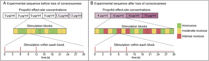 Materiale juridice despre oug 96/2002 (2). Effects Of Propofol Anesthesia On The Processing Of Noxious Stimuli In The Spinal Cord And The Brain Sciencedirect