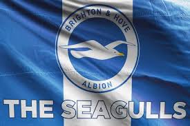 @mickrbrown (michael richard brown)'s music profile | letsloop. The Seagulls Brighton Hove Albion Fc Flag Unofficial And Designed By Fans