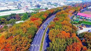 世 賢路
