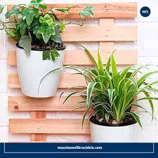 Maceta colgante vegena de macramé 4 unidades cuerda de algodón para colgar plantas soporte para macetas cuerda de algodón con cuentas para balcón, decoración de pared, interior y exterior. Macetas De Pared Macetas En Fibra De Vidrio