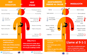 Information provided by the centers for disease control and prevention (cdc). Heat Cramps Exhaustion Stroke