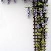 To add the relaxing feeling of a garden to an indoor room, try painting a trellis with wisteria vines (or any other kind of vine that you like) to one wall of the room. 1
