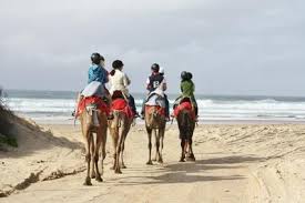 Coffs harbour, located almost halfway between sydney and brisbane, is on a picturesque spot on the new south wales' coast where the great dividing love music? Coffs Coast Camels