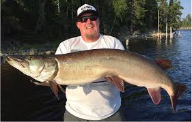 We did not find results for: Dwr Wants To Grow Trophy Sized Muskie In Jordanelle Reservoir Kpcw