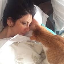 Romi Costo Cocina Saludable