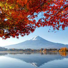 Discover japan with flo tours best of japan small group tour. 10 Of The Best Books Set In Japan That Will Take You There Literary Trips The Guardian