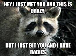 We recommend using google chrome, firefox, or microsoft edge. Racoon In Enfield Tests Positive For Rabies Nbc Connecticut