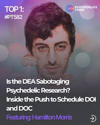 Photo by Melissa A. Bond (@melissabauthor) · September 15, 2025