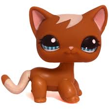 Find your favorite pets through the official littlest pet shop pet tracker! Littlest Pet Shop Carry Case Cat Shorthair 1170 Pet Lps Merch