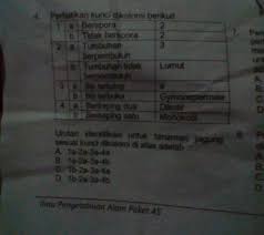 Maybe you would like to learn more about one of these? Urutan Idebtifikasi Untuk Tanaman Jagung Sesuai Kunci Dikotomi Di Atas Adalah Brainly Co Id