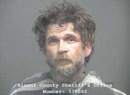 GUNGL, BRETT DAVID Charges: FELONY EVADING ARREST FAILURE TO MAINTAIN  SINGLE LANE DRIVING WHILE LICENSE REVOKED IMPROPER RIGHT/LEFT TURNS FAILURE  TO MAINTAIN SINGLE LANE This information and more is available  https://apps.myocv.com/share/a9573780