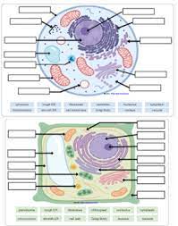 Maybe you would like to learn more about one of these? Cell Labeling Remote