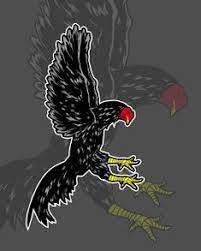 Sangat cocok untuk ayam aduan atau ayam petarung. 63 Ide Ayam Ayam Ayam Jantan Hewan