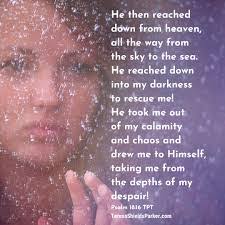 Nancy Vandervoort's Instagram, Twitter & Facebook