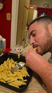 when your hamster steals your dinner lol , cuteness overload @barilla  #hamstersoftiktok #fypシ #hamster #fyp #trending #tiktok #viral #PetsOfTikTok