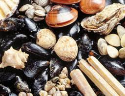 L'amore, la passione, il rispetto familiare, la cura del prodotto sono i valori che da decenni guidano, ispirano e orientano l'attività nella boutique dei frutti di mare. Attenzione Ai Frutti Di Mare Selvaggi Sicurezza Alimentare