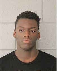 ᐅ Illinois Criminal Records 2009-2026