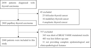 What is critically important is that you are evaluated and managed by a highly experienced team of doctors whom are experts in the scanning. Relationship Between Braf V600e And Clinical Features In Papillary Thyroid Carcinoma In Endocrine Connections Volume 8 Issue 7 2019