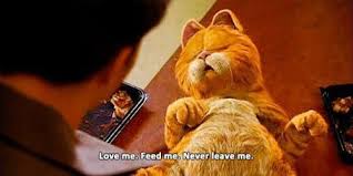 Amen To That Cat Personalities Crazy Cats Baby Animals