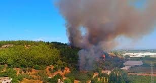 Ekipler yangını kontrol altına almak için aralıksız çalışıyor. Antalya Da Antik Kent Yakininda Orman Yangini