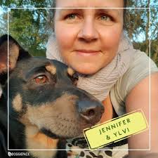 Wermut für Hunde: Super-Kraut für den Darm und sanfte Wurmkur