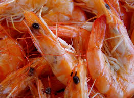 Whether they are cooked in pasta, served with a tossed salad, or eaten with cocktail sauce, what could be better than shrimp? Can Cats Eat Shrimp Raw Or Cooked