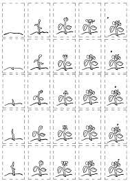 The more pages you have, the nicer it will be, so don't be afraid to go for 40 or 50 pages. Flip Book Easy To Draw Novocom Top