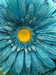 Download and use 100,000+ blue flowers stock photos for free. Glittery Flower 5th Chakra Turquoise Tjn Turquoise Flowers Aqua Turquoise Turquoise Color