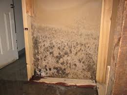 If the moldy area is less than about 10 square feet (less than roughly a 3 ft. Mold Removal Company Serving Mississauga Gta