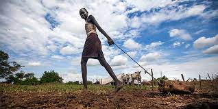Fao And The Crisis In South Sudan Fao In Emergencies