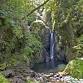 Dalegarth, Blea Tarn & Stanley Force Waterfall event image