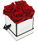 The poppy, for example, is a flower with deep meaning. 59 95