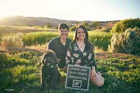 20 Pawsome Dog Pregnancy Announcements The Postpartum Party