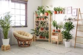 Indeed, thriving plants can look pretty darn good around the house, and there's no better proof than the many lush homes featured in curbed's house calls if you're looking to change up your plantscape in the new year, or finally start decorating with plants, these homes are sure to inspire you to make the. Bring The Outdoors In With Our Favorite Ways To Display House Plants