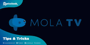 Selamat menikmati aplikasi mola tv bersama seluruh anggota keluarga. Cara Berlangganan Mola Tv Bisa Live Streaming Bola Dan Hbo Go Pricebook