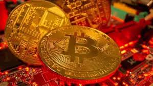 Stay up to date with the latest dogecoin price movements and forum discussion. Cryptocurrency Inr Price Today June 3 Major Coins Including Bitcoin Trading In Green Check Possible Reasons Of What S Driving Their Prices Zee Business