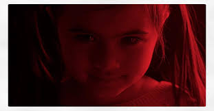 Craig Pringle (@craigpringle_dp) • Instagram photos and videos