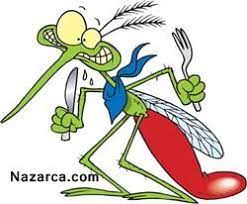 sivrisinek kasintisindan nasil kurtuluruz nazarca com mosquito homemade bug spray mosquito magnet