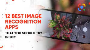 After the installation of the app, it'll navigate and give directions you to a main. The 12 Best Image Recognition Apps That You Should Try In 2021