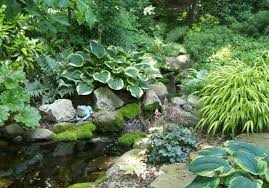 Teich Bepflanzen Hier Sind Wunderbare Pflanzen Um Den Teich Teich Garten Pflaster Gartengestaltung