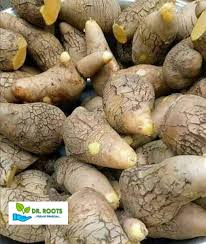 Image result for Dioscorea dumetorum