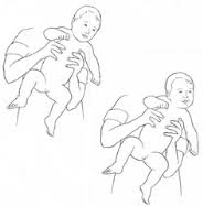 Ppt - Postural Reflexes Powerpoint Presentation, Free Download - Id:9574106