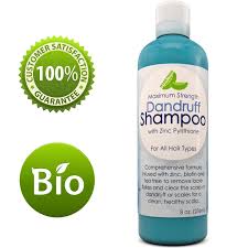 Honeydew Biotin Shampoo Before And After Dandruff Shampoo With Zinc Sulfate Free Extra Strength Formula Removes Flakes Scales And Itchy Scalp Bloc Shampoo Anti Hair Loss Shampoo Thicker Healthier Hair