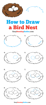 How To Draw A Bird Nest Really Easy Drawing Tutorial Bird Drawings Drawing Tutorial Easy Bird Nests Art