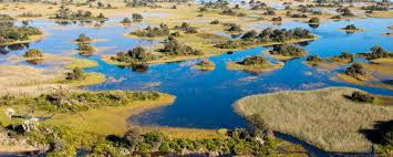 There are four main campsites in moremi game reserve: Botswana Luxury Tours Safaris Luxury Trips To Botswana