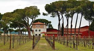 Espacio para bodas en aranjuez, finca la ribera 1 la ribera 1 es una finca con amplios espacios tanto exteriores como interiores para celebrar la ceremonia civil, cóctel, banquete y barra libre. Que Bodegas Visitar En Ribera Del Duero Valladolid Guias Viajar