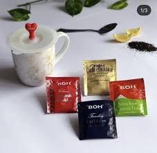 My green tea latte moment. 40 Https Www Bohtea Com Ideas Tea Sencha Green Tea Cameron Highlands