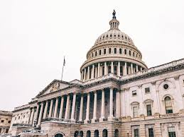 13 Fun & Engaging Legislative Branch Lessons Ideas - Let's Cultivate  Greatness
